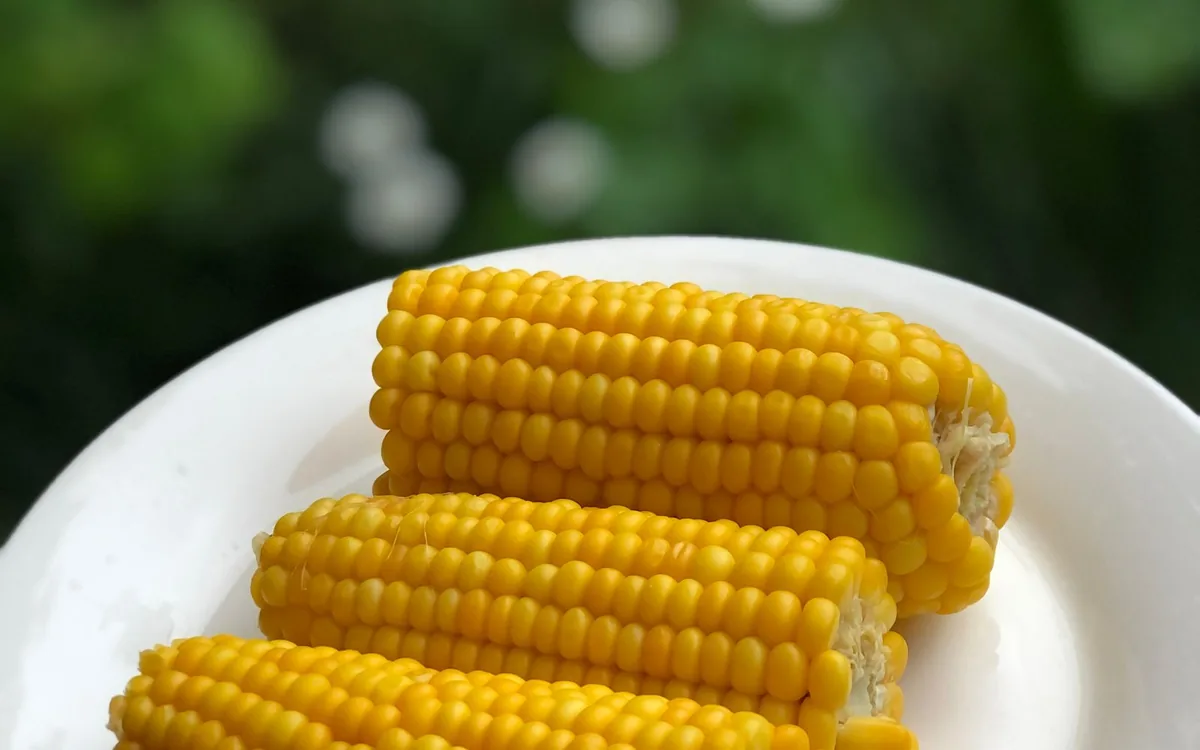 Boiled Maize served at Sidai Resort in Naroosura, Narok Kenya