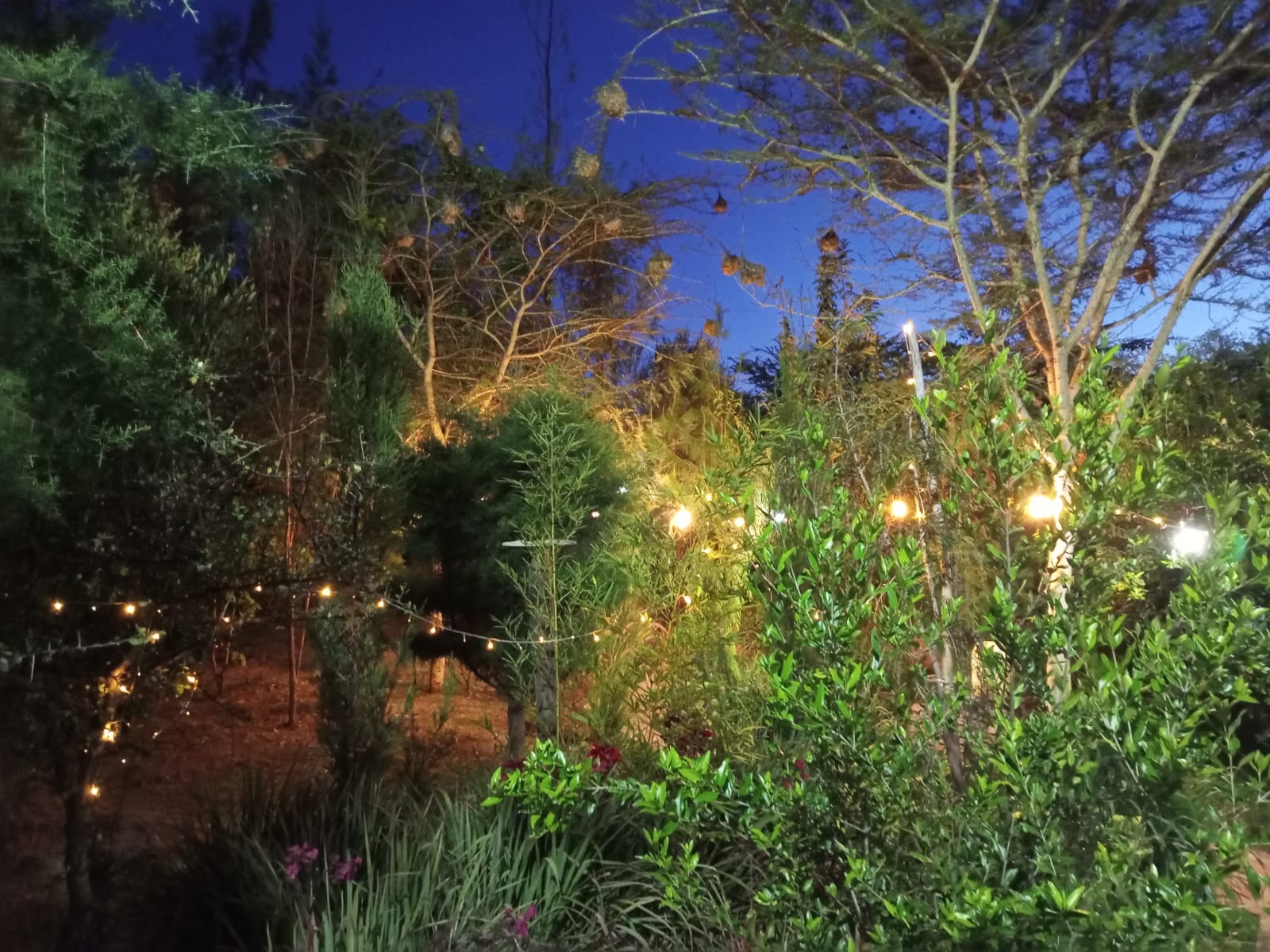 Magical garden setting at Sidai Resort