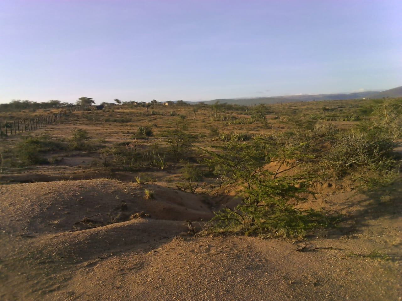 Sidai land before transformation in 2017