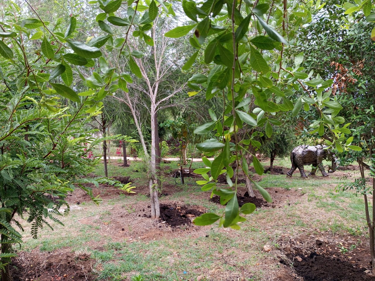 Infinity Pool Retreat in Sidai Resort gallery