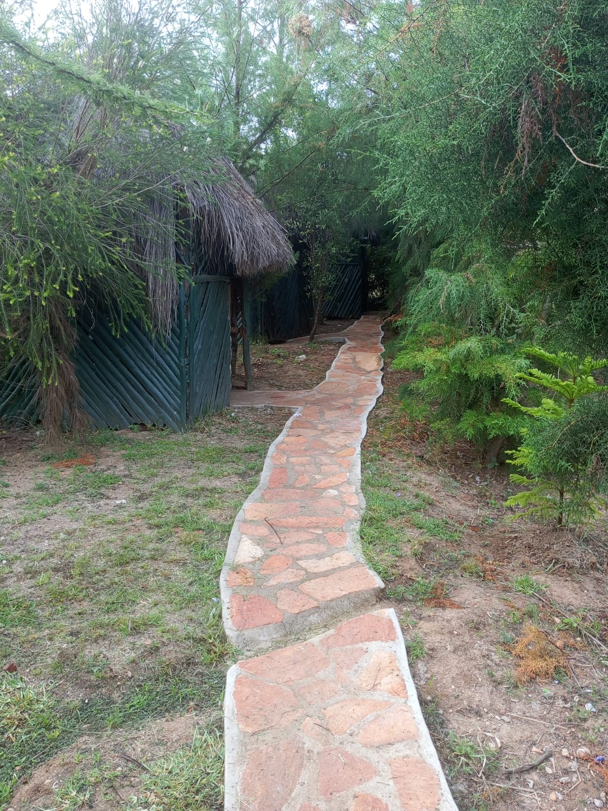 Sidai Resort forested grounds in Naroosura, Narok Kenya